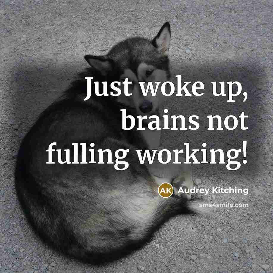 “Just woke up, brains not fulling working!…” quote by Audrey Kitching