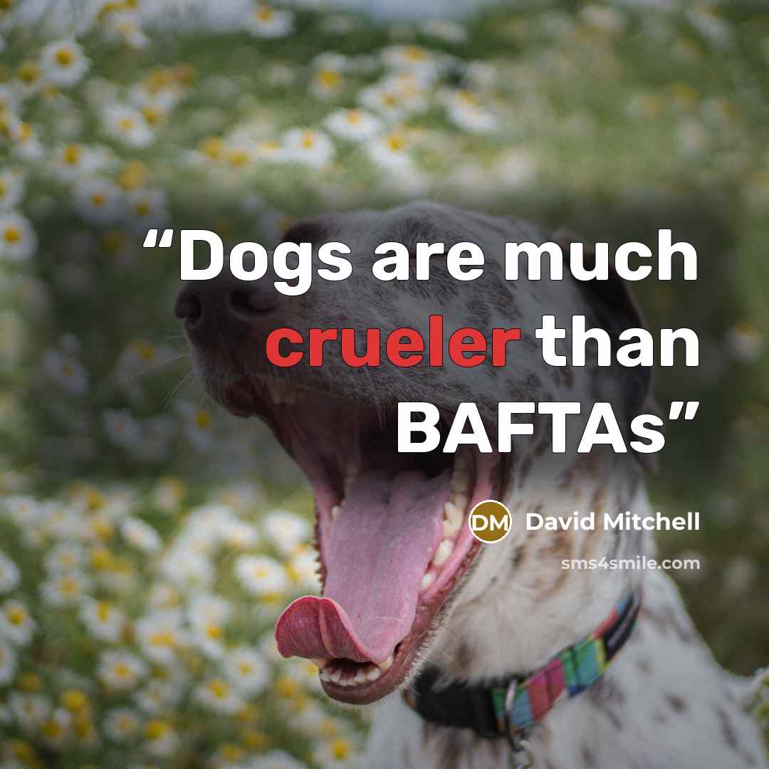 “Dogs are much crueler than BAFTAs” quote by David Mitchell