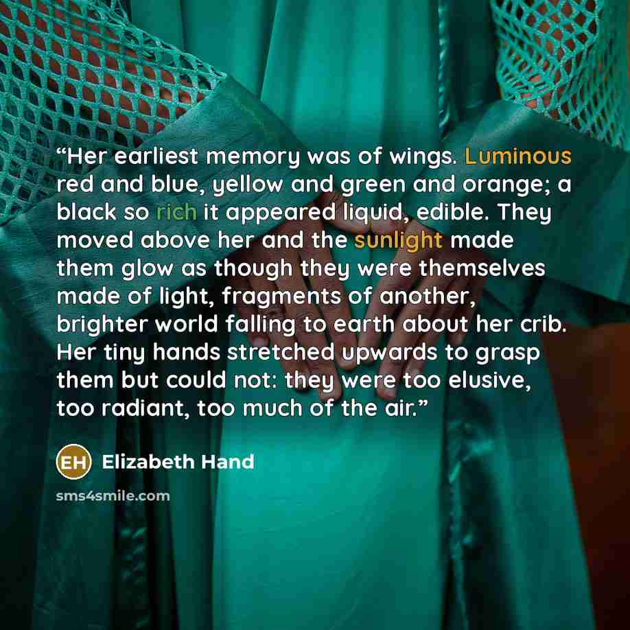 “Her earliest memory was of wings. Luminous red and blue, yellow and green and orange; a black so rich it appeared liquid, edible. They moved above her and the sunlight made them glow as though they were themselves made of light, fragments of another, brighter world falling to earth about her crib…” quote by Elizabeth Hand