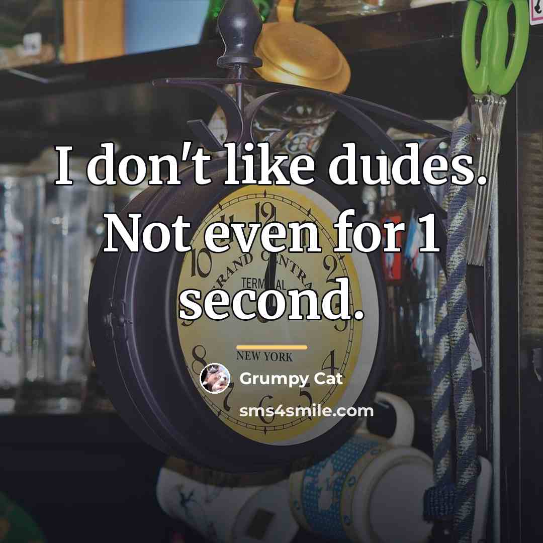 “I don't like dudes. Not even for 1 second.…” quote by Grumpy Cat