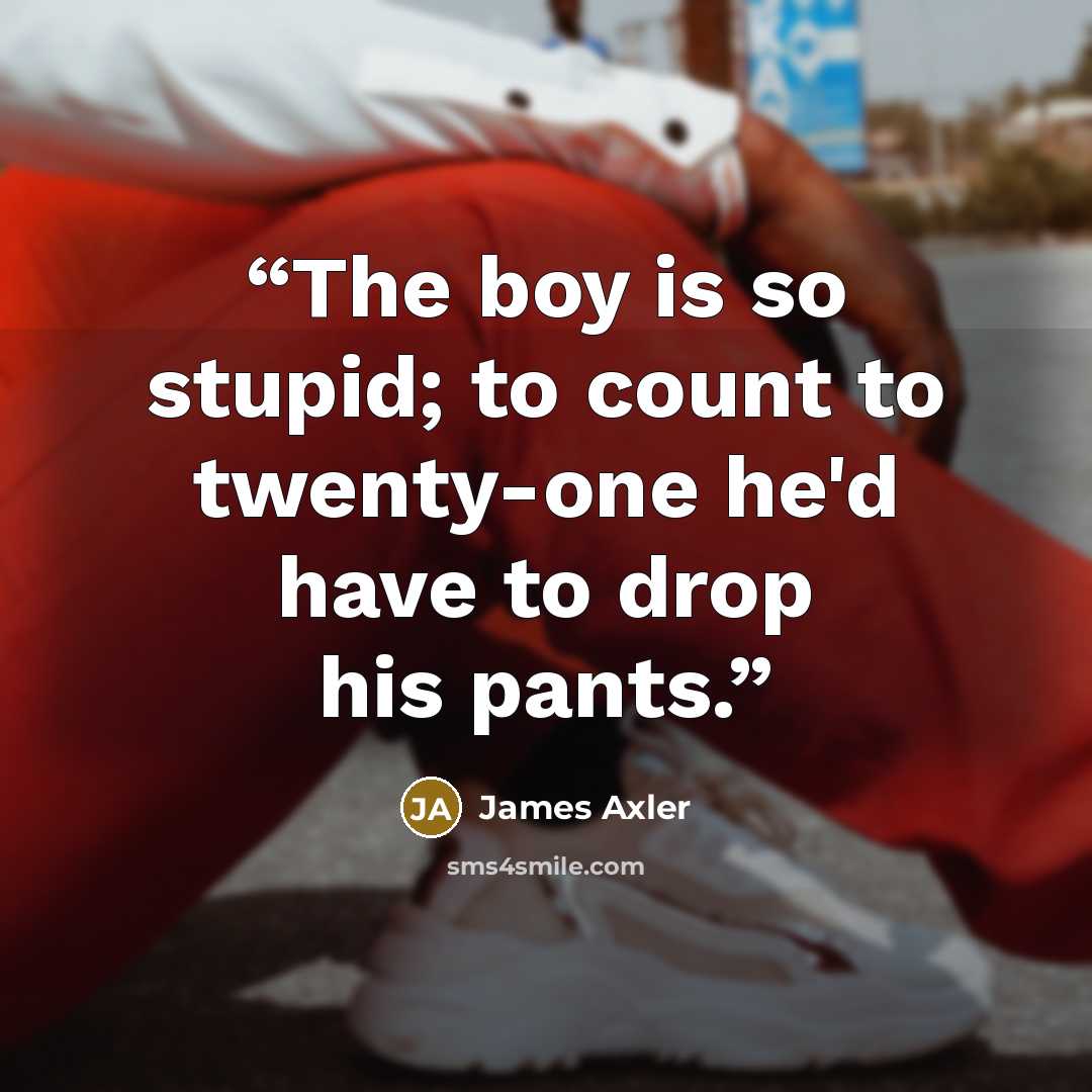 “The boy is so stupid; to count to twenty-one he'd have to drop his pants.” quote by James Axler