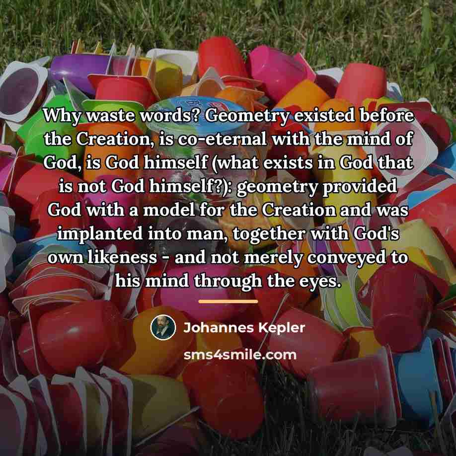 “Why waste words? Geometry existed before the Creation, is co-eternal…” quote by Johannes Kepler