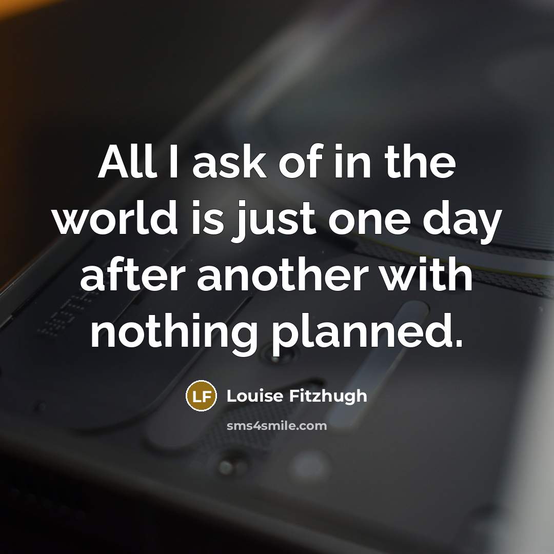 “All I ask of in the world is just one…” quote by Louise Fitzhugh