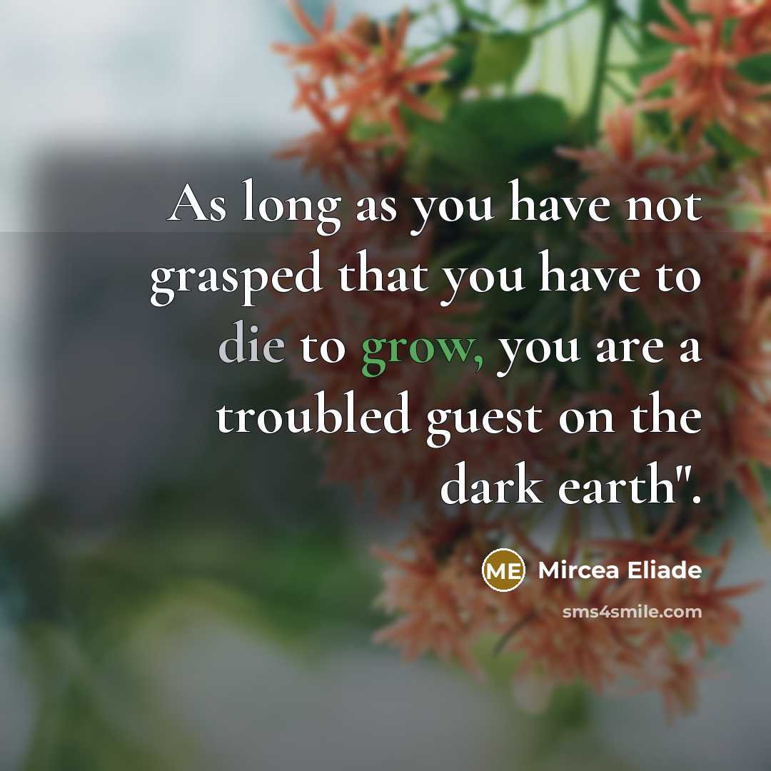 “As long as you have not grasped that you have…” quote by Mircea Eliade