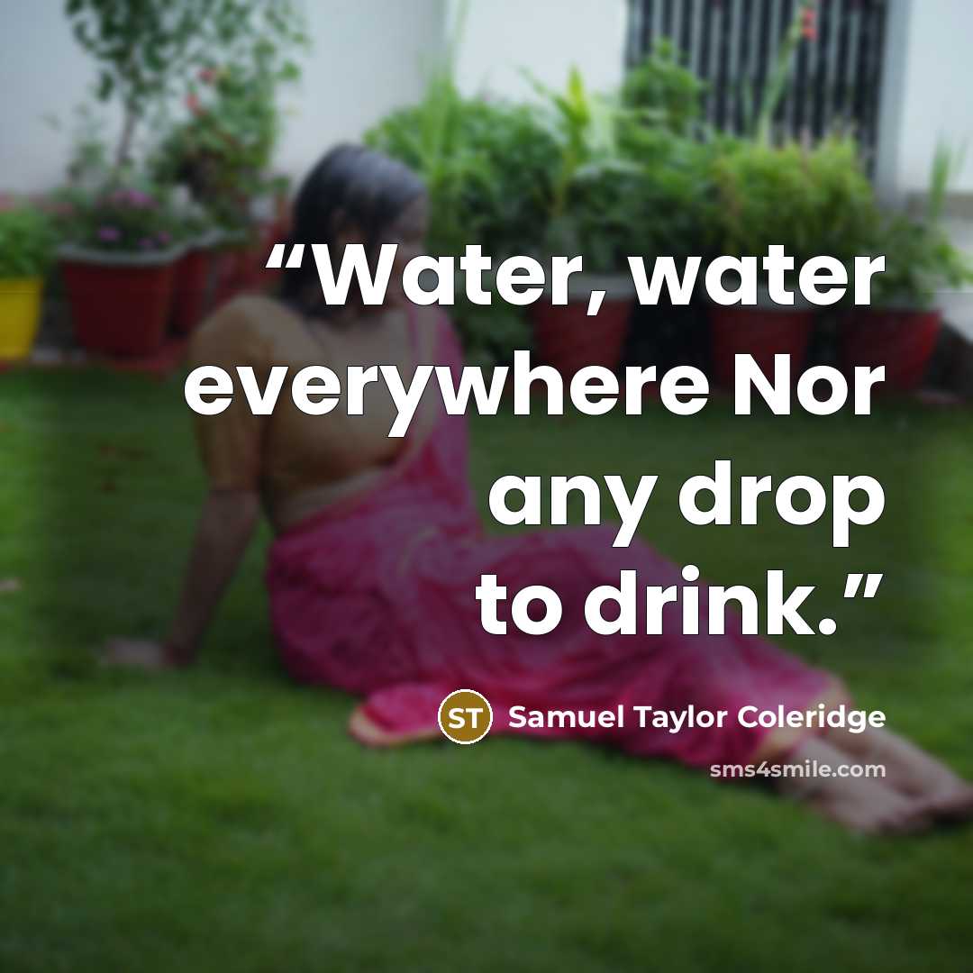 “Water, water everywhere Nor any drop to drink.” quote by Samuel Taylor Coleridge