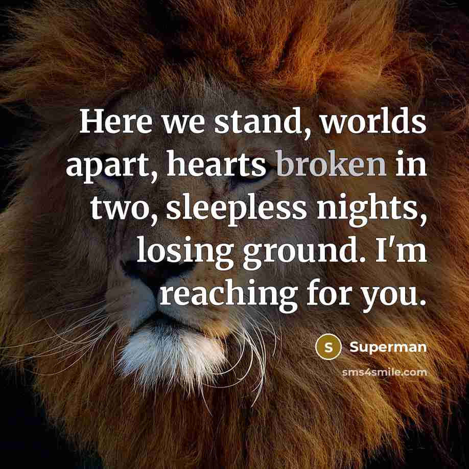 “Here we stand, worlds apart, hearts broken in two, sleepless…” quote by Superman
