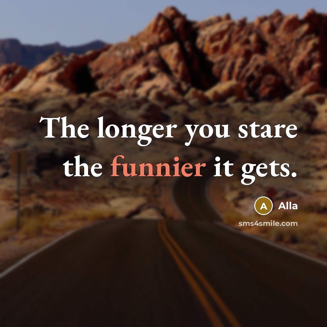 “The longer you stare the funnier it gets.” quote by Alla