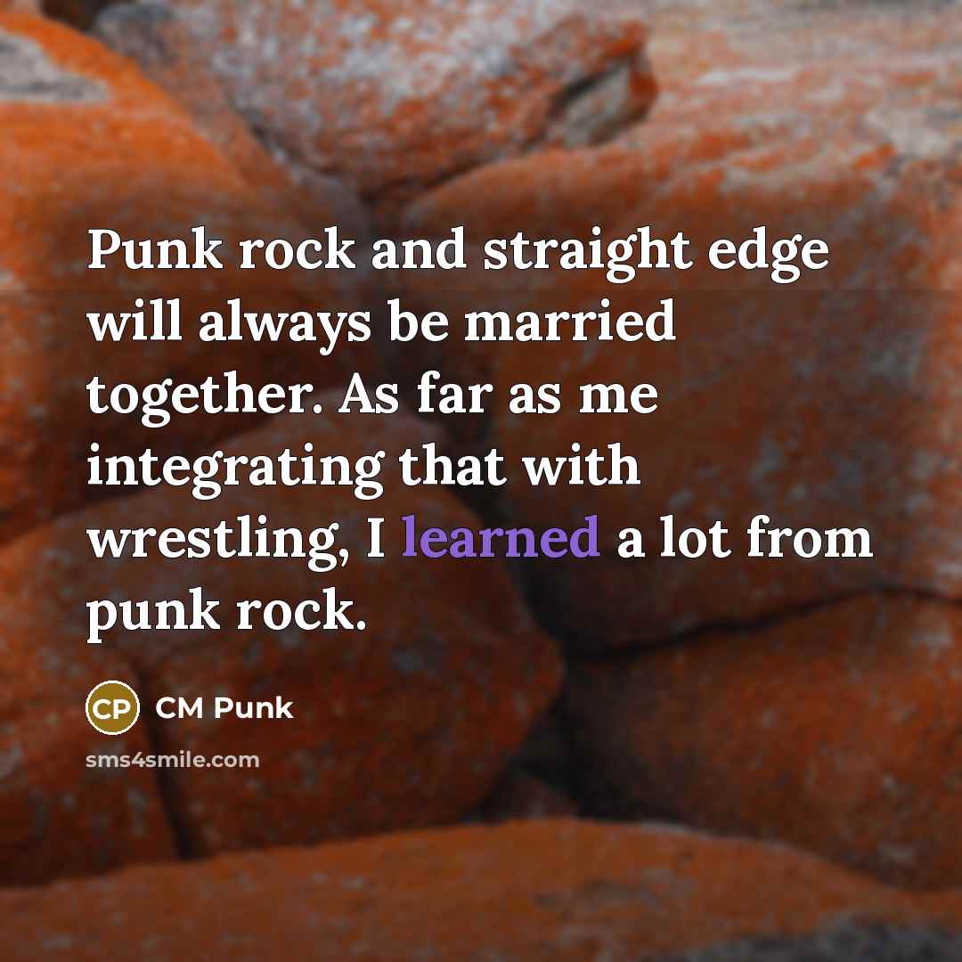 “Punk rock and straight edge will always be married together.…” quote by CM Punk
