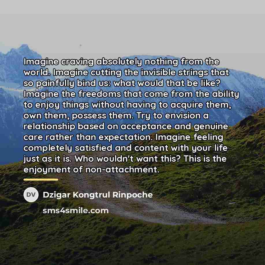 “Imagine craving absolutely nothing from the world. Imagine cutting the…” quote by Dzigar Kongtrul Rinpoche