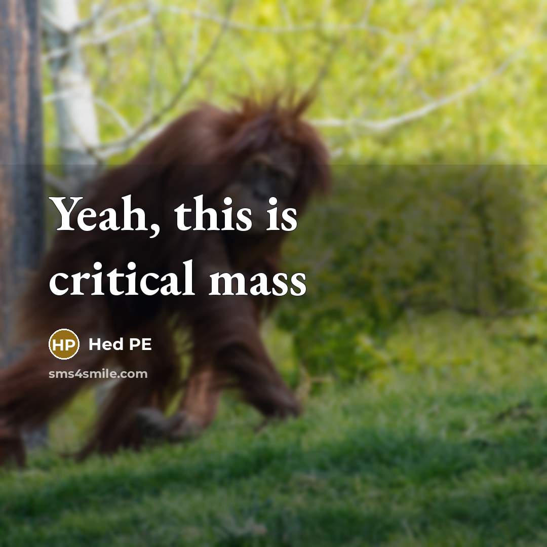 “Yeah, this is critical mass…” quote by Hed PE