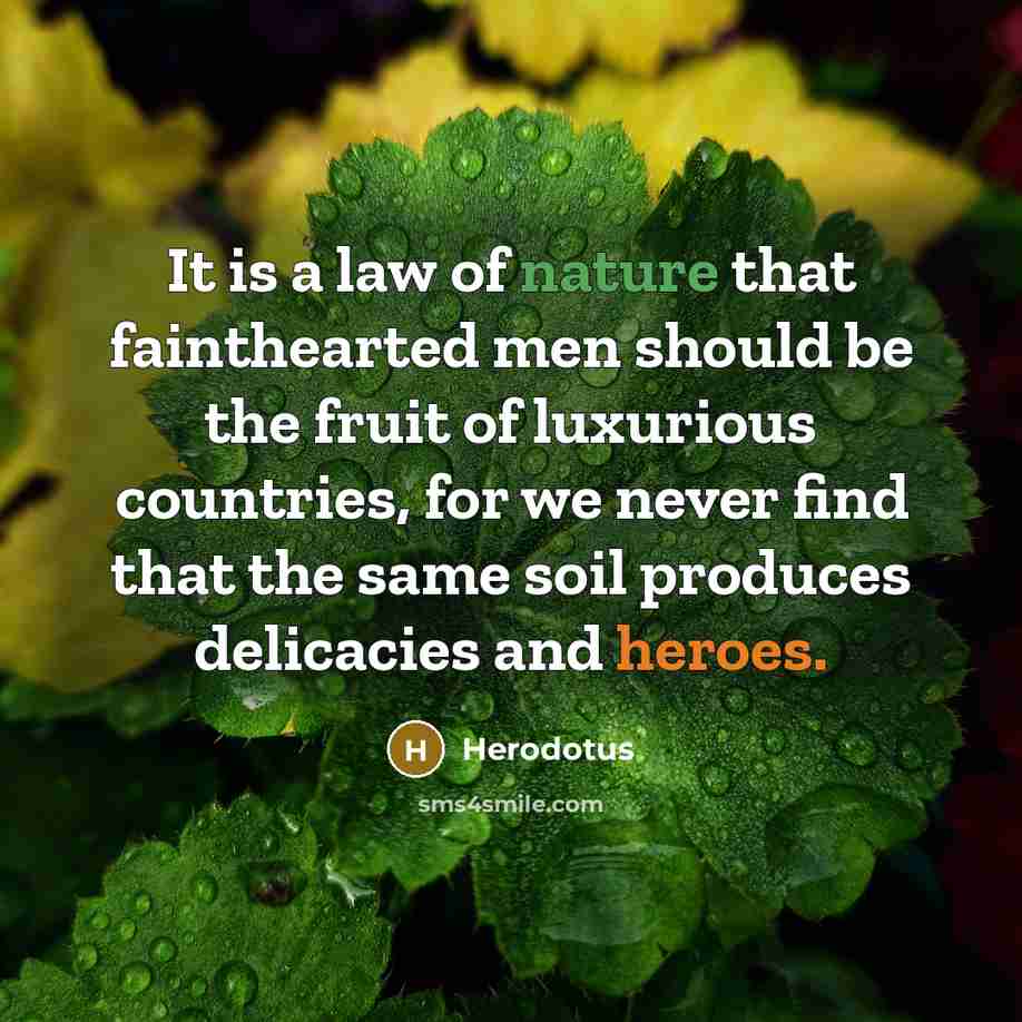 “It is a law of nature that fainthearted men should…” quote by Herodotus