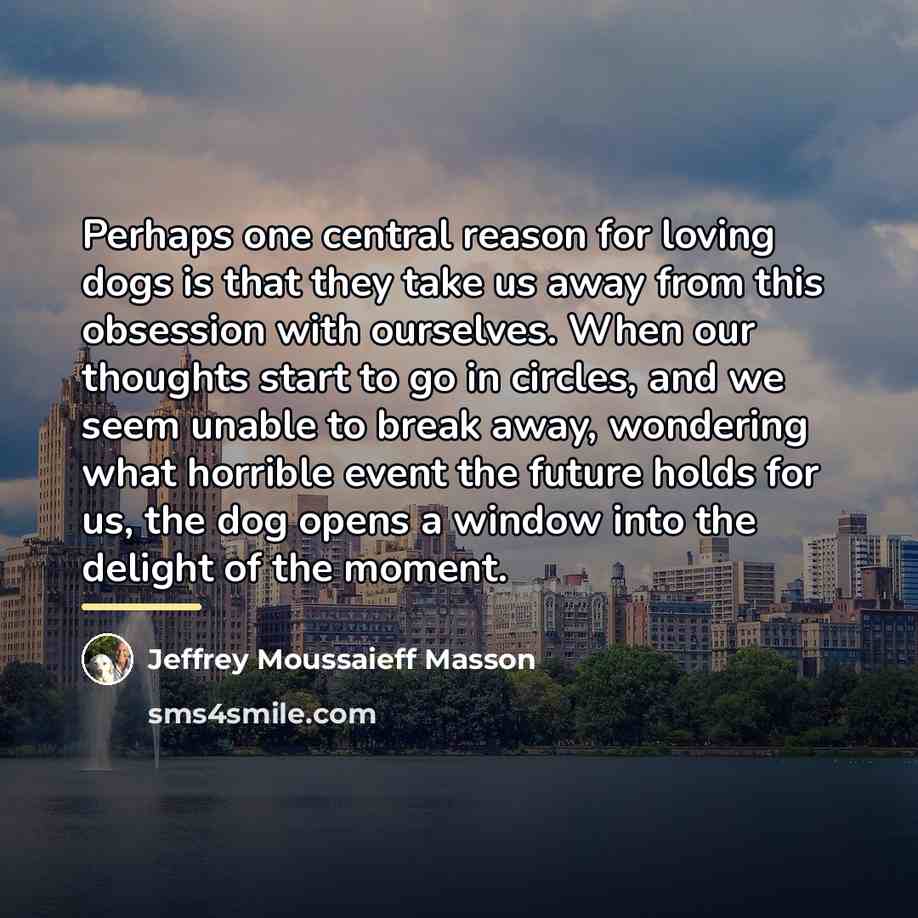 “Perhaps one central reason for loving dogs is that they…” quote by Jeffrey Moussaieff Masson