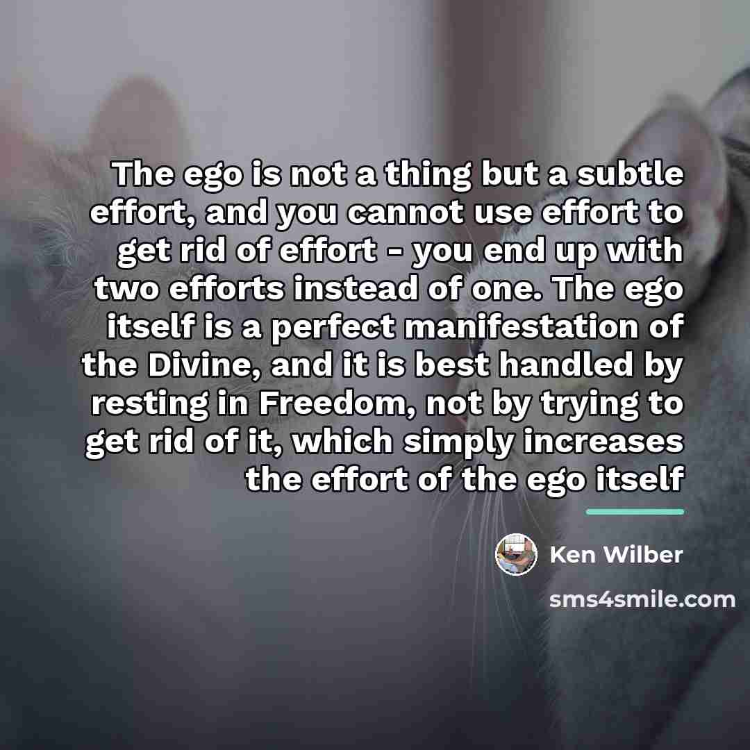 “The ego is not a thing but a subtle effort,…” quote by Ken Wilber