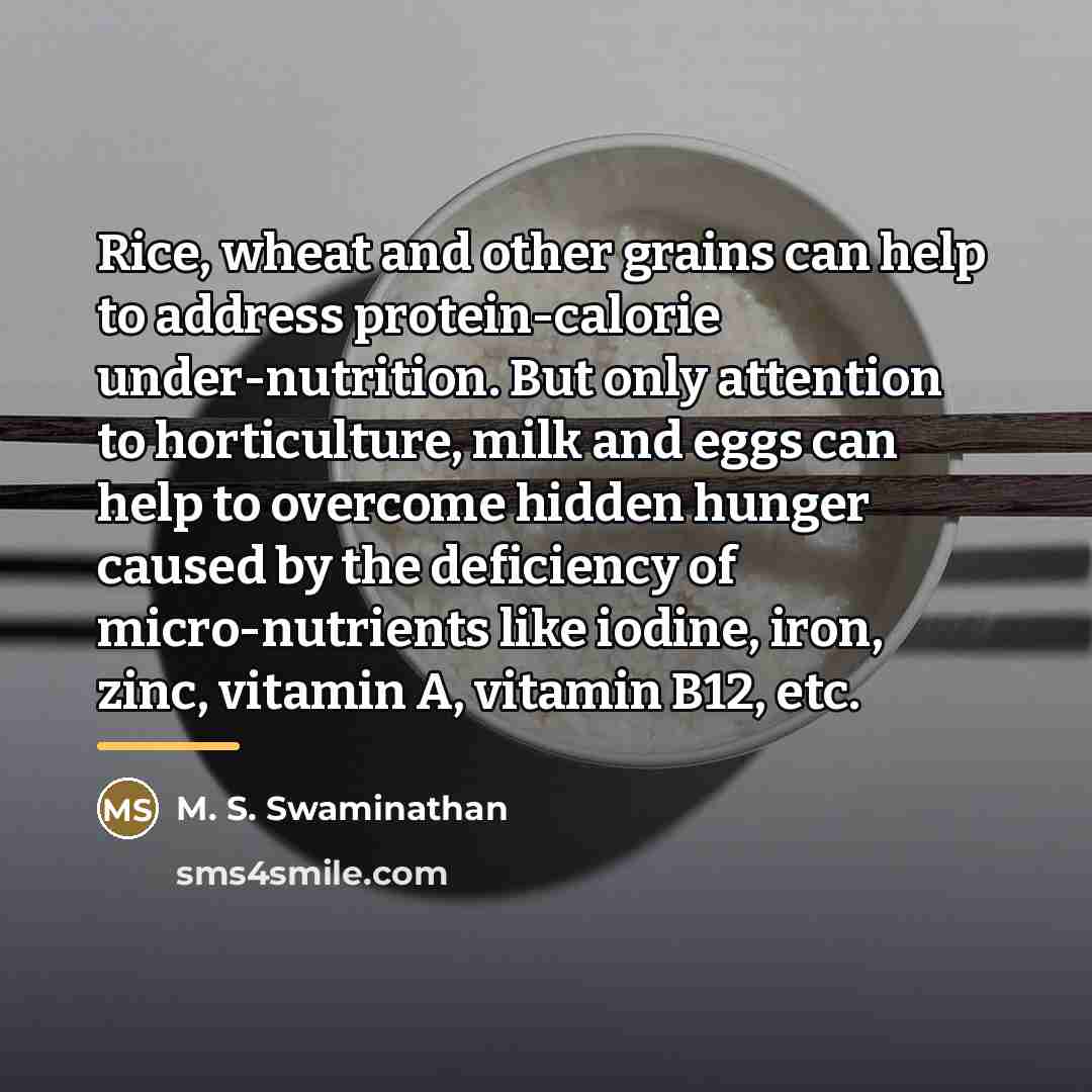 “Rice, wheat and other grains can help to address protein-calorie…” quote by M. S. Swaminathan