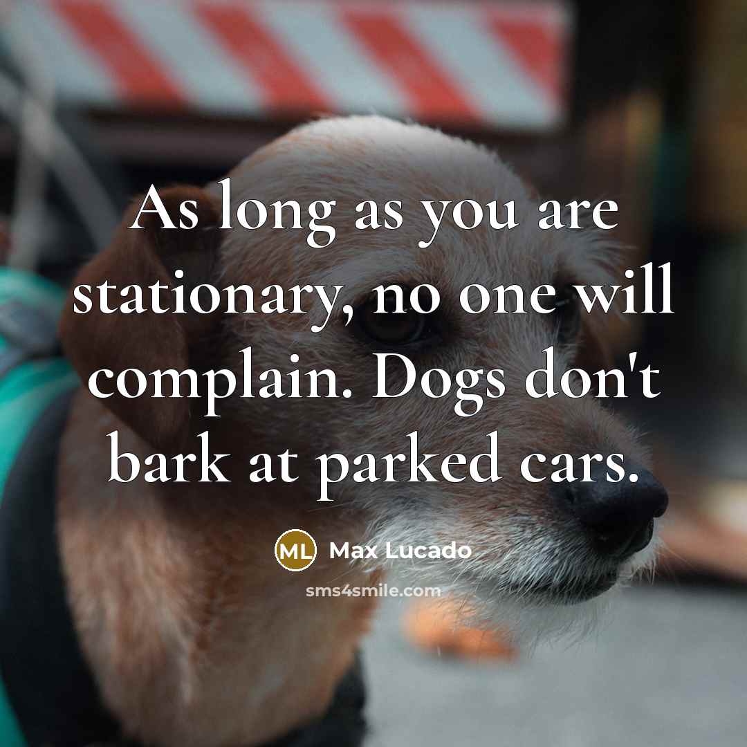 “As long as you are stationary, no one will complain.…” quote by Max Lucado