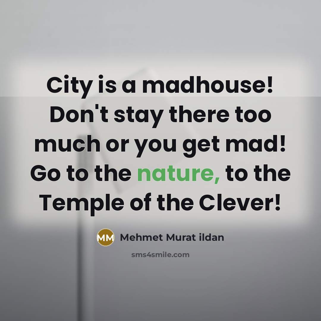 “City is a madhouse! Don't stay there too much or…” quote by Mehmet Murat Ildan