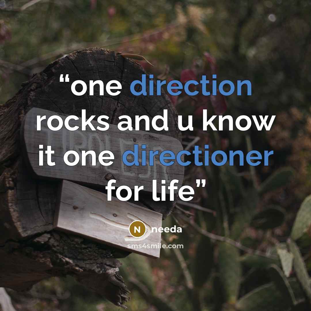 “one direction rocks and u know it one directioner for life” quote by needa