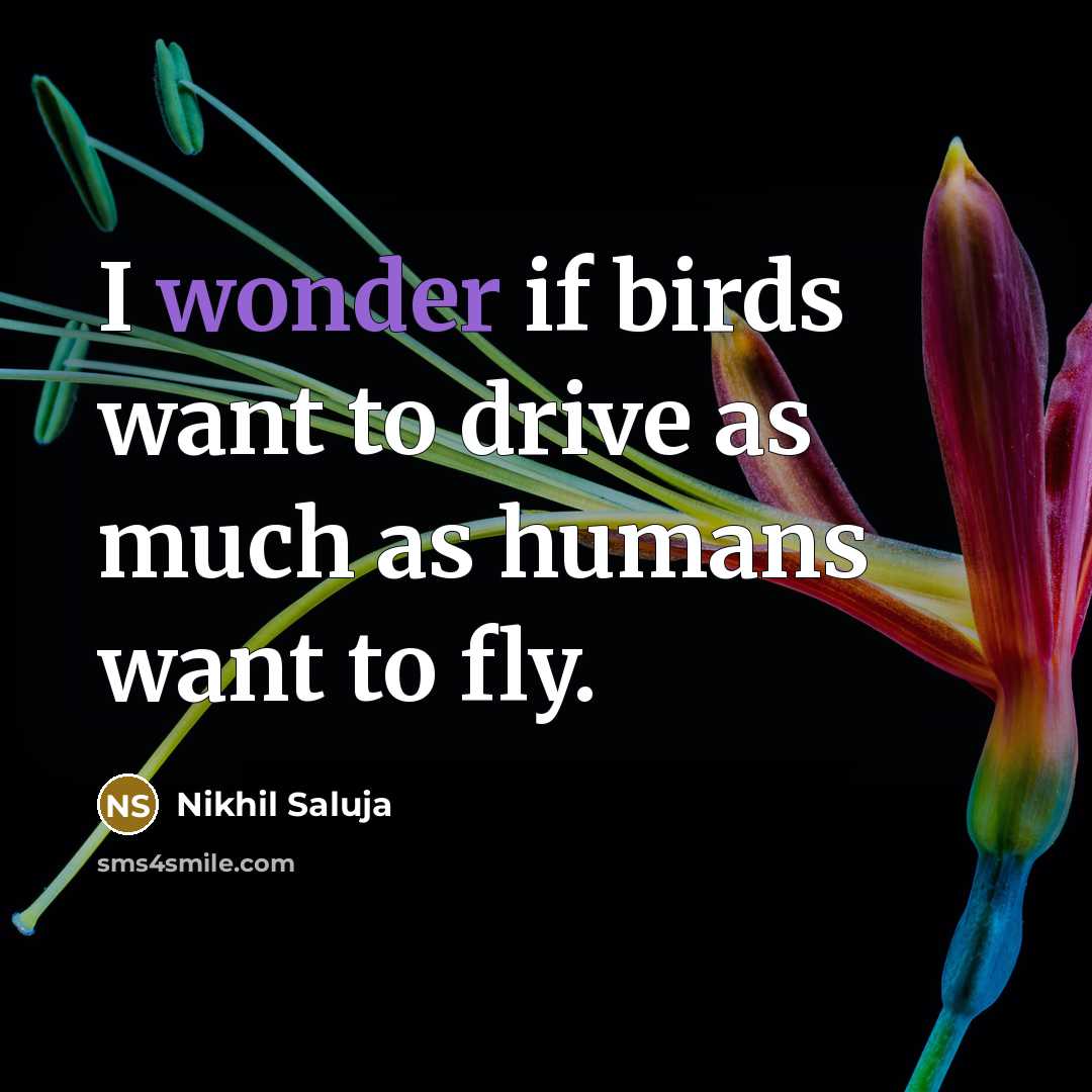 “I wonder if birds want to drive as much as…” quote by Nikhil Saluja