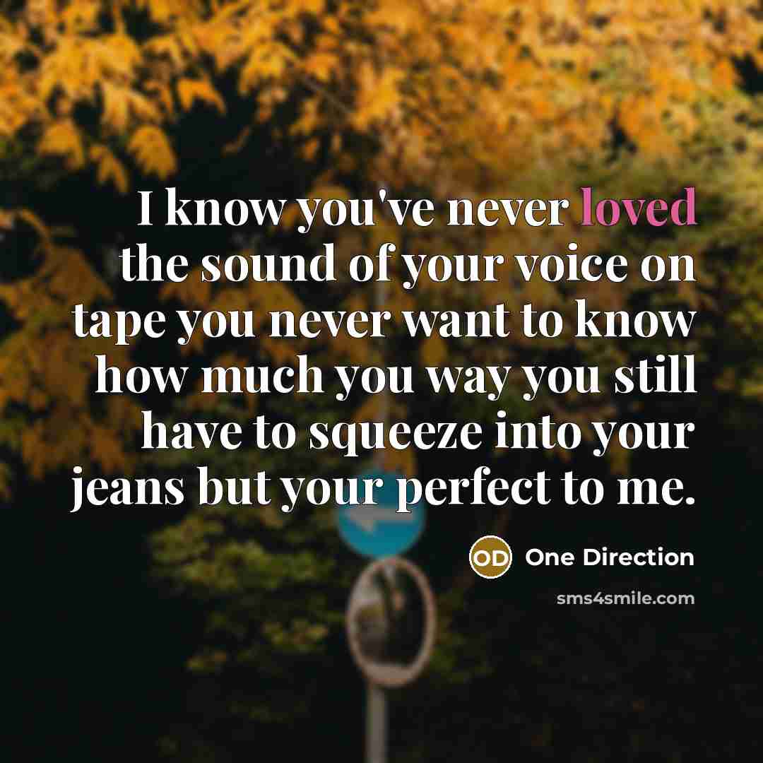 “I know you've never loved the sound of your voice…” quote by One Direction