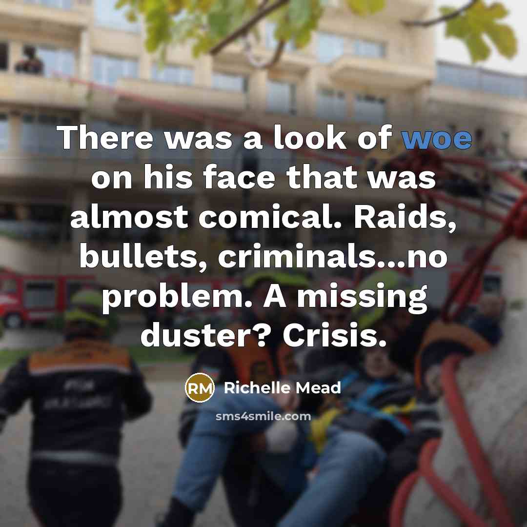 “There was a look of woe on his face that…” quote by Richelle Mead