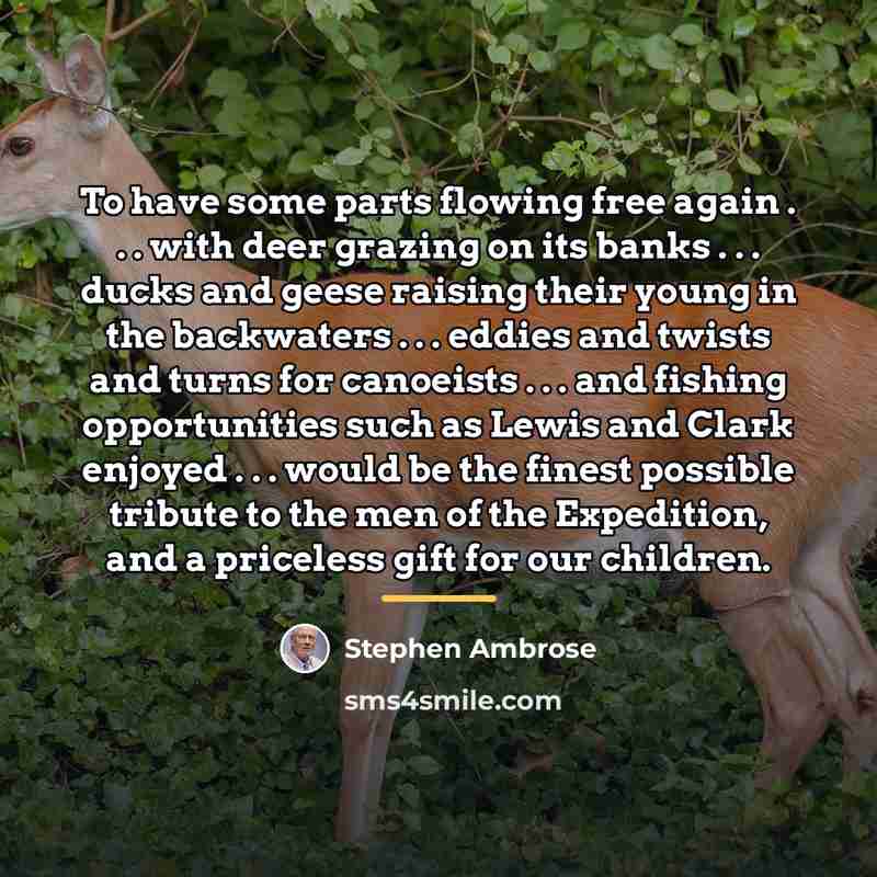 “To have some parts flowing free again . . .…” quote by Stephen Ambrose