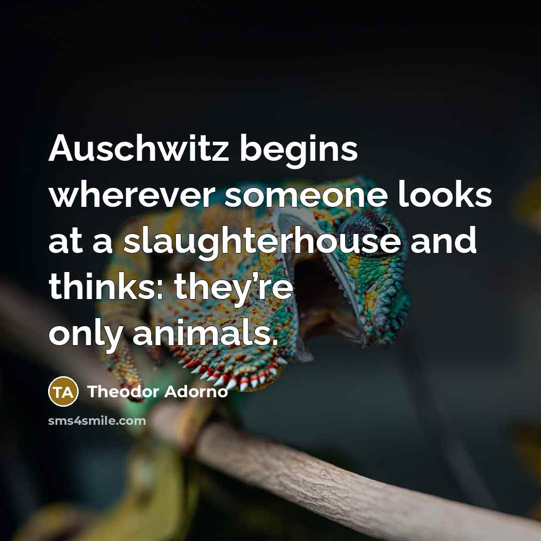 “Auschwitz begins wherever someone looks at a slaughterhouse and thinks:…” quote by Theodor Adorno