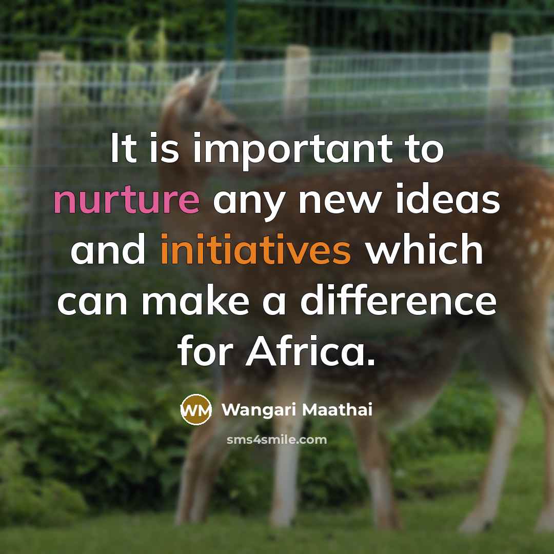 “It is important to nurture any new ideas and initiatives which can make a difference for Africa.” quote by Wangari Maathai