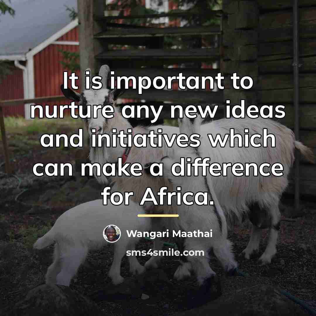 “It is important to nurture any new ideas and initiatives…” quote by Wangari Maathai