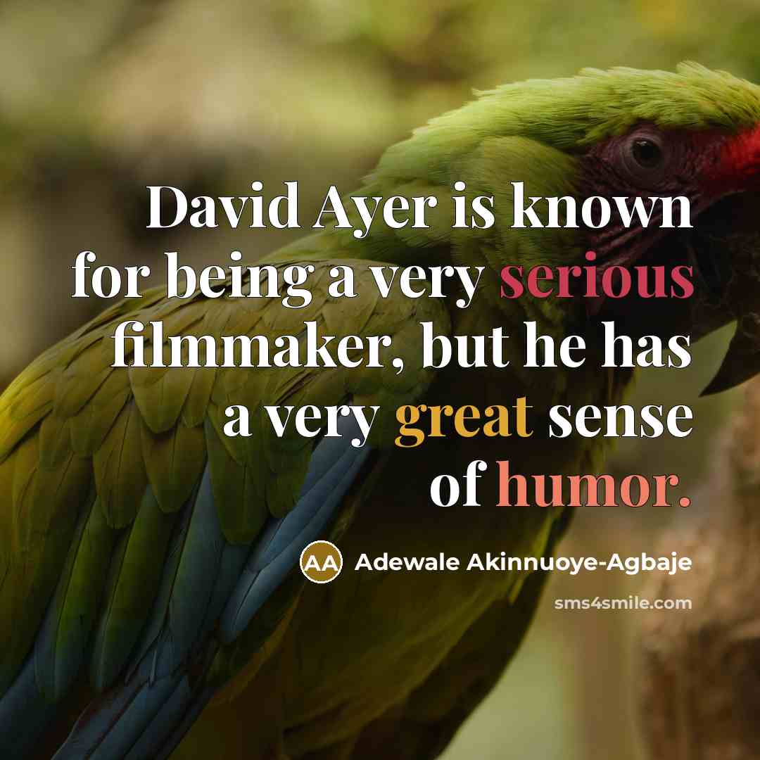 “David Ayer is known for being a very serious filmmaker,…” quote by Adewale Akinnuoye-Agbaje