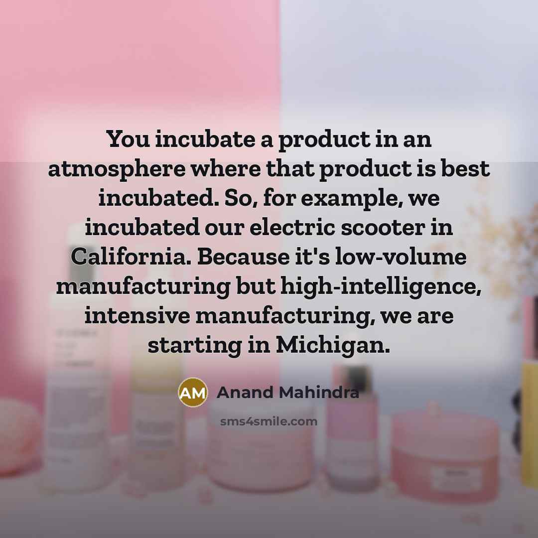 “You incubate a product in an atmosphere where that product…” quote by Anand Mahindra