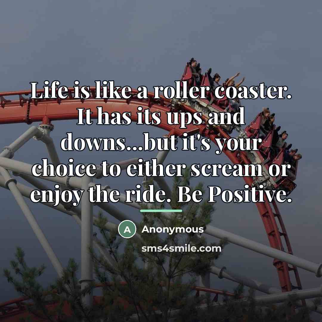 “Life is like a roller coaster. It has its ups…” quote by Anonymous