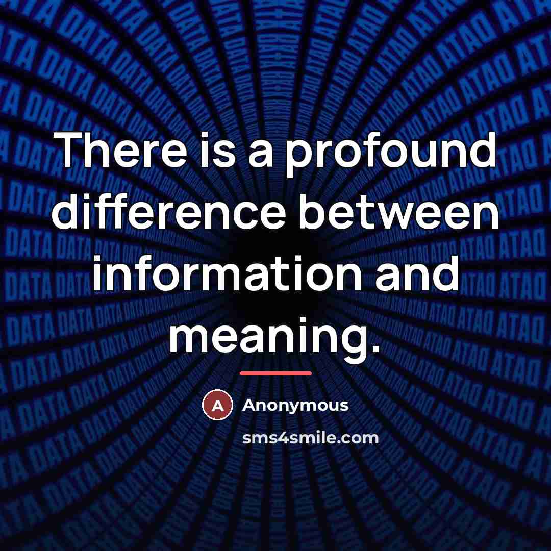 “There is a profound difference between information and meaning.…” quote by Anonymous