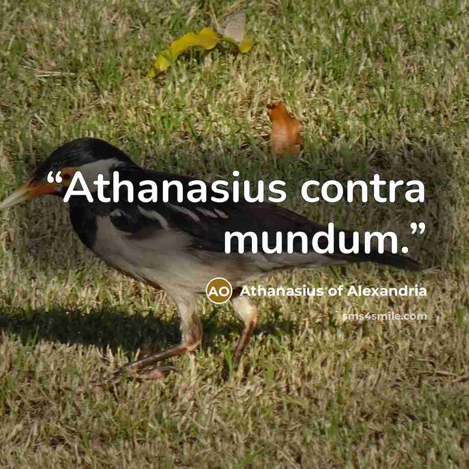 “Athanasius contra mundum.” quote by Athanasius of Alexandria