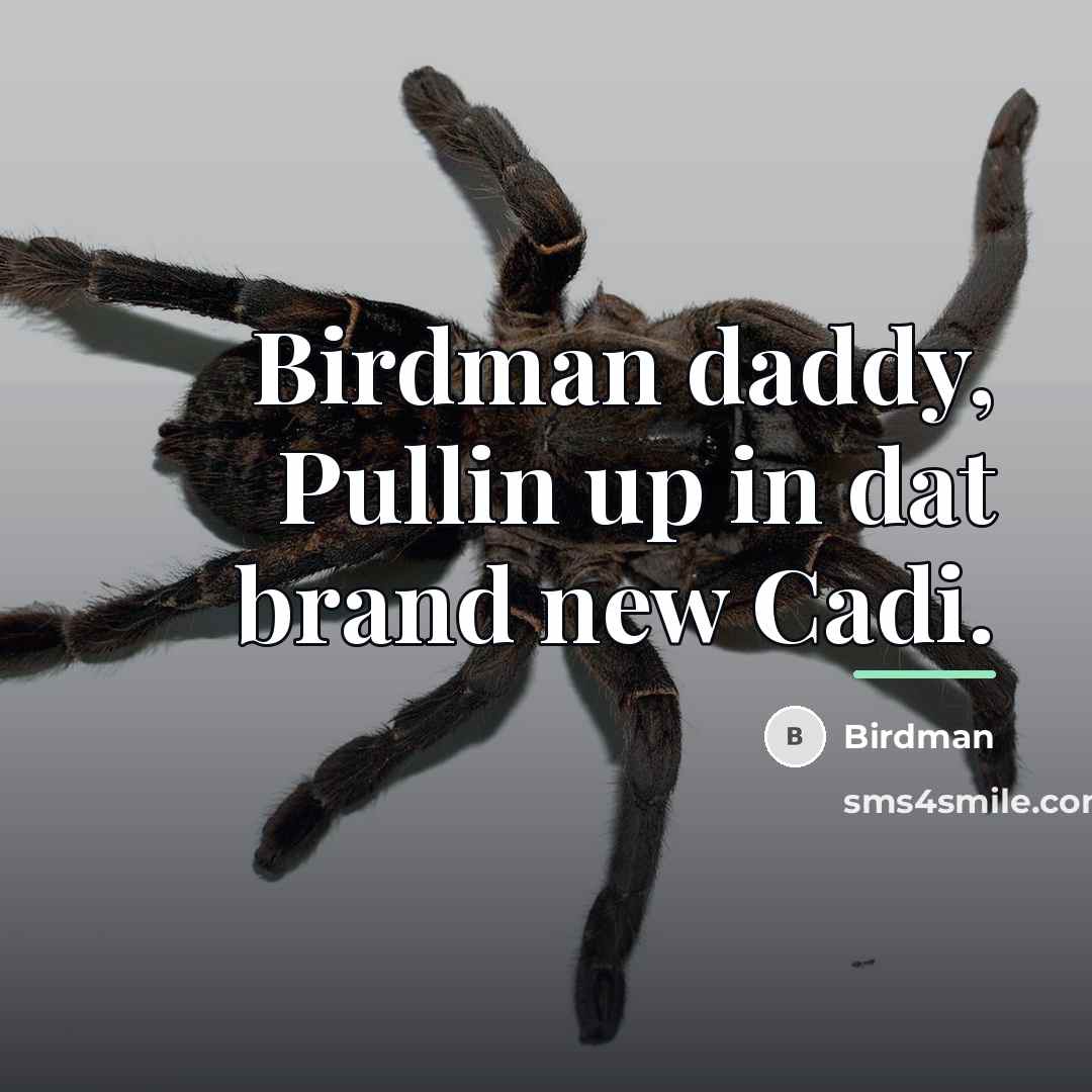 “Birdman daddy, Pullin up in dat brand new Cadi.…” quote by Birdman