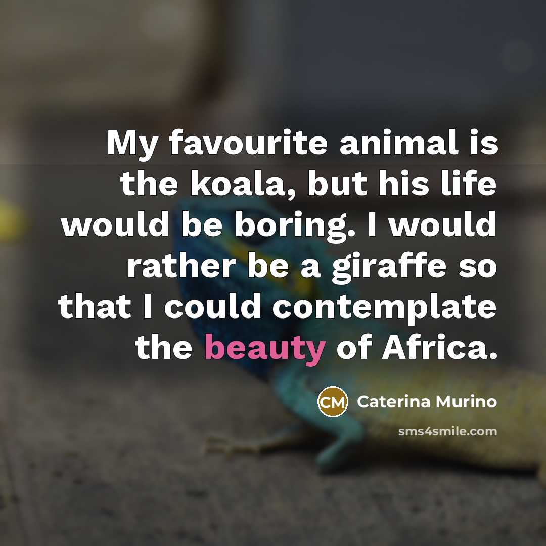 “My favourite animal is the koala, but his life would…” quote by Caterina Murino