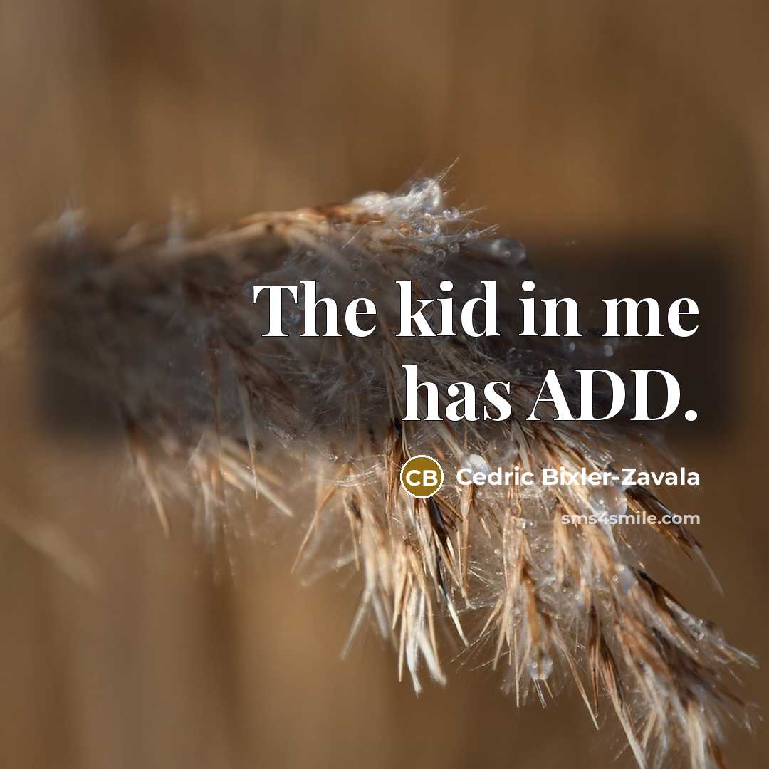 “The kid in me has ADD.…” quote by Cedric Bixler-Zavala