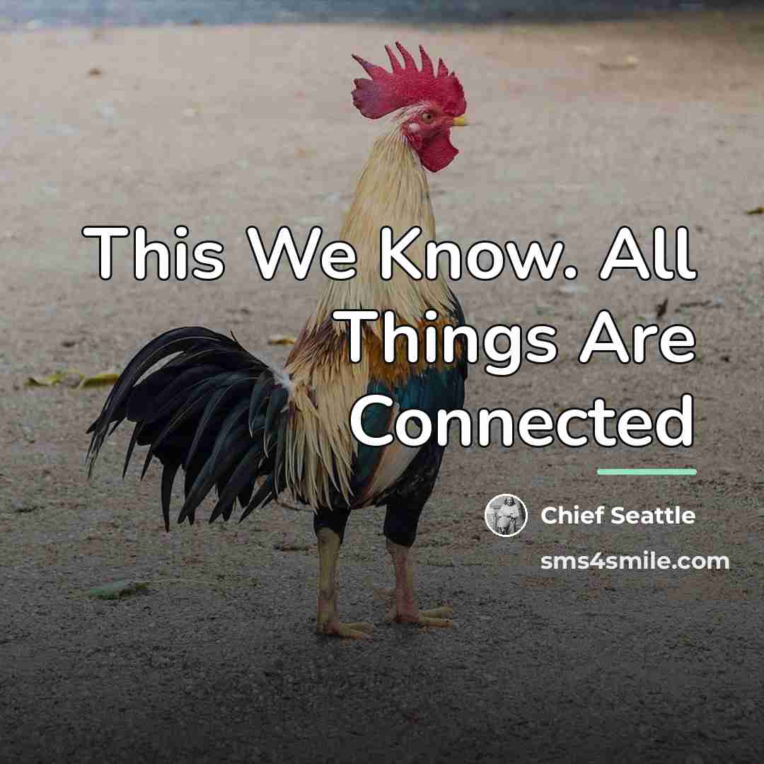 “This We Know. All Things Are Connected…” quote by Chief Seattle