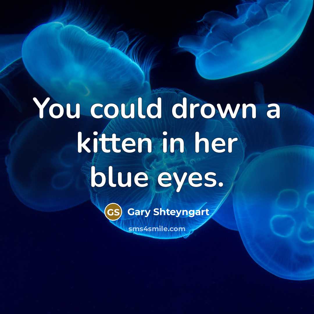“You could drown a kitten in her blue eyes.…” quote by Gary Shteyngart