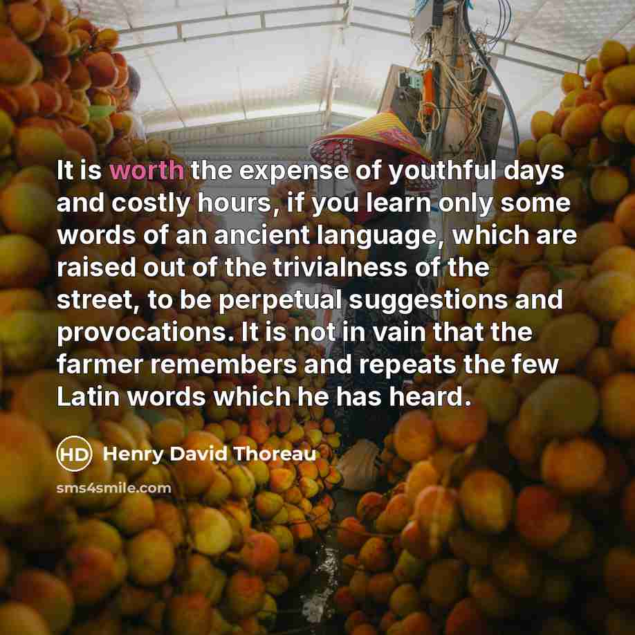 “It is worth the expense of youthful days and costly…” quote by Henry David Thoreau