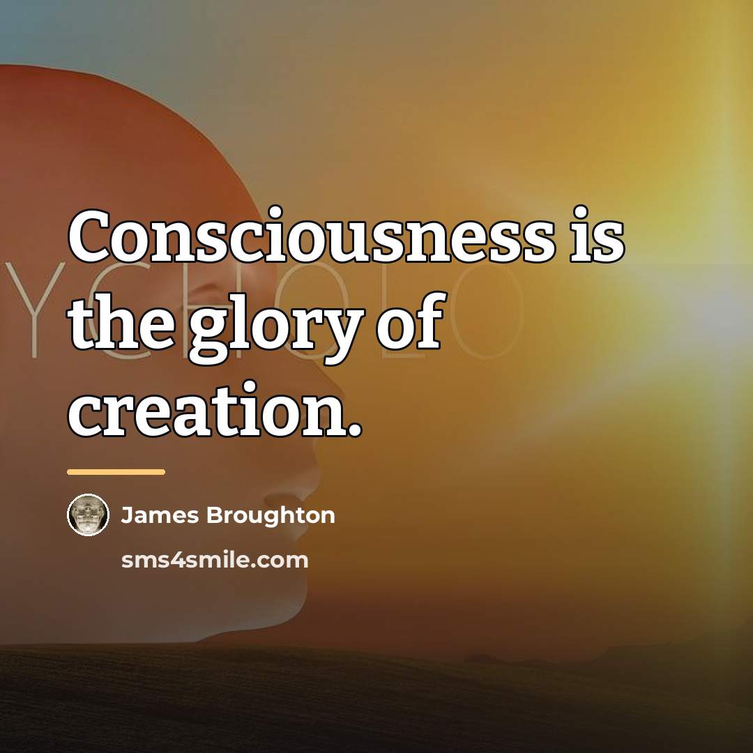 “Consciousness is the glory of creation.…” quote by James Broughton