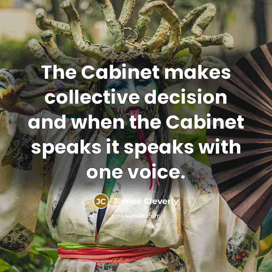 “The Cabinet makes collective decision and when the Cabinet speaks…” quote by James Cleverly