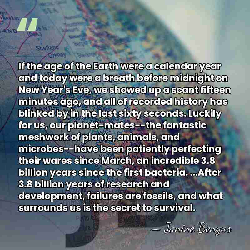 If the age of the Earth were a calendar year and today&hellip; - Janine Benyus