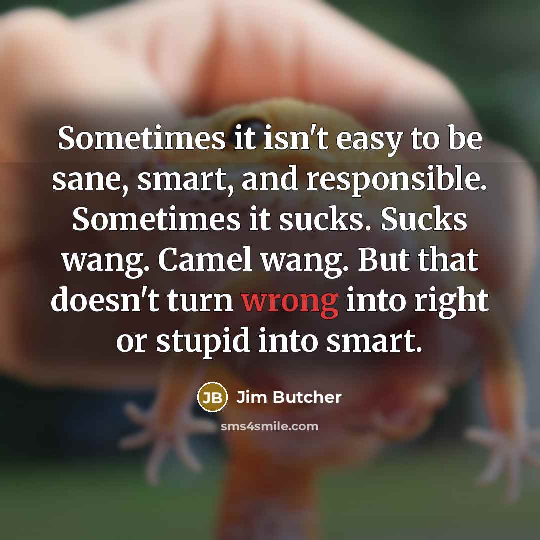 “Sometimes it isn't easy to be sane, smart, and responsible.…” quote by Jim Butcher