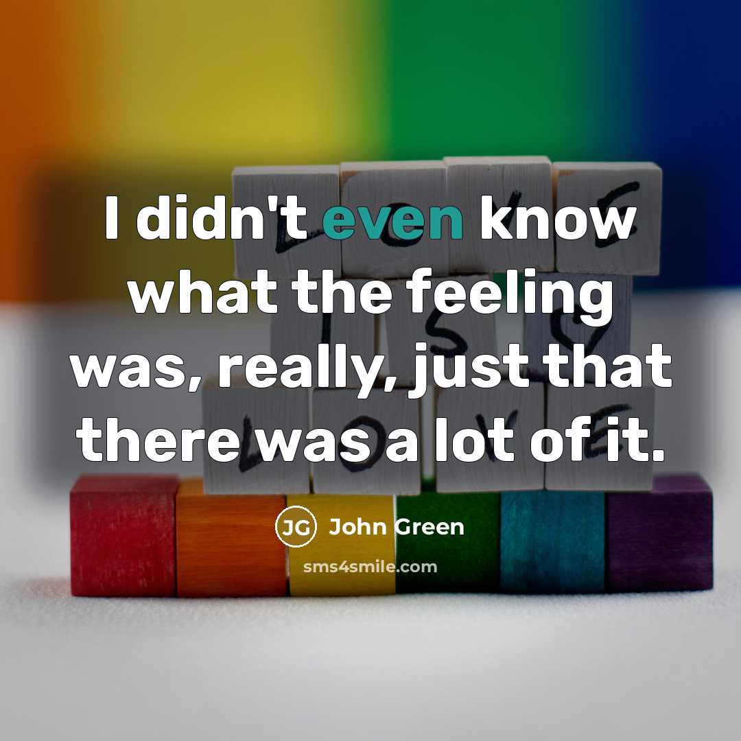 “I didn't even know what the feeling was, really, just that there was a lot of it.” quote by John Green