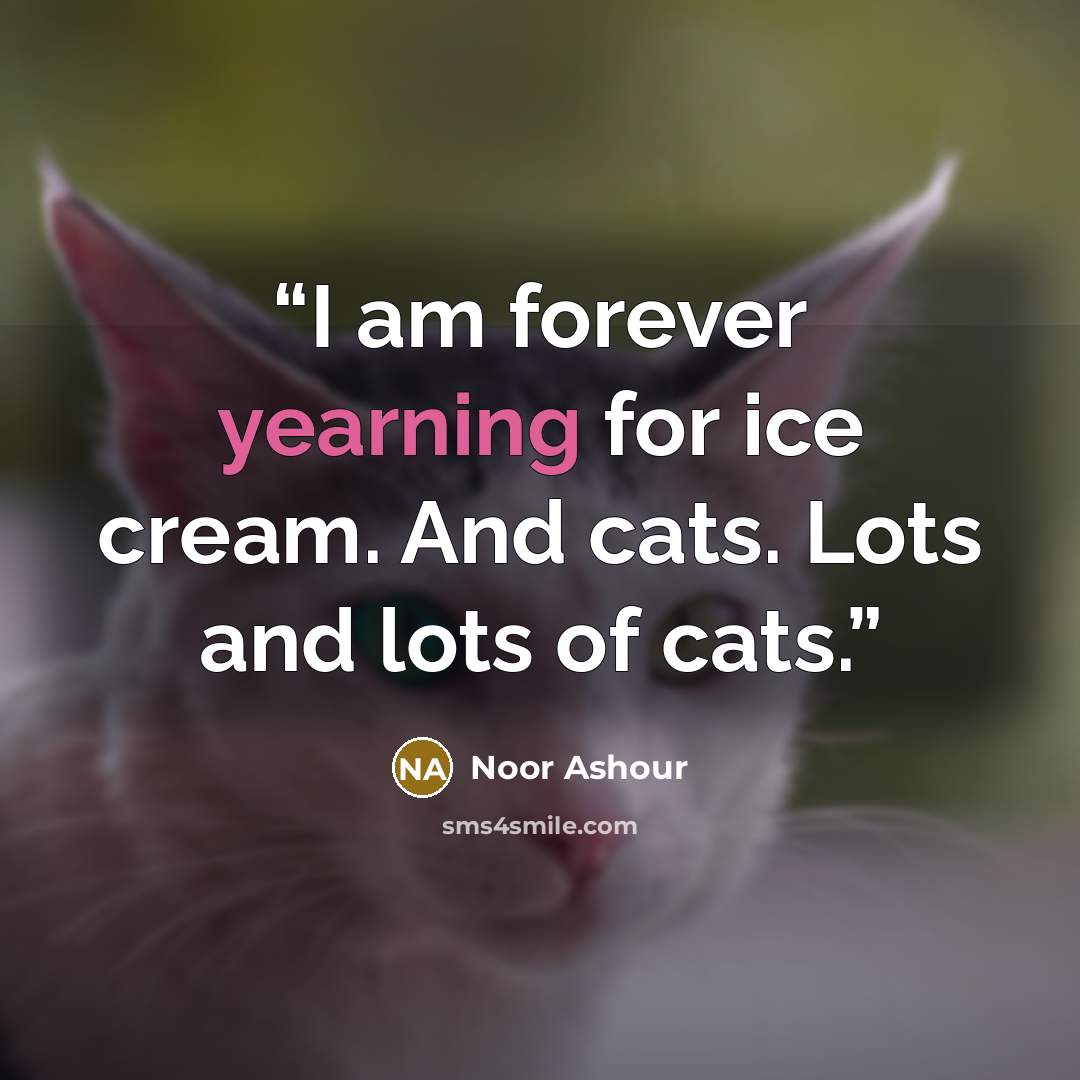 “I am forever yearning for ice cream. And cats. Lots and lots of cats.” quote by Noor Ashour