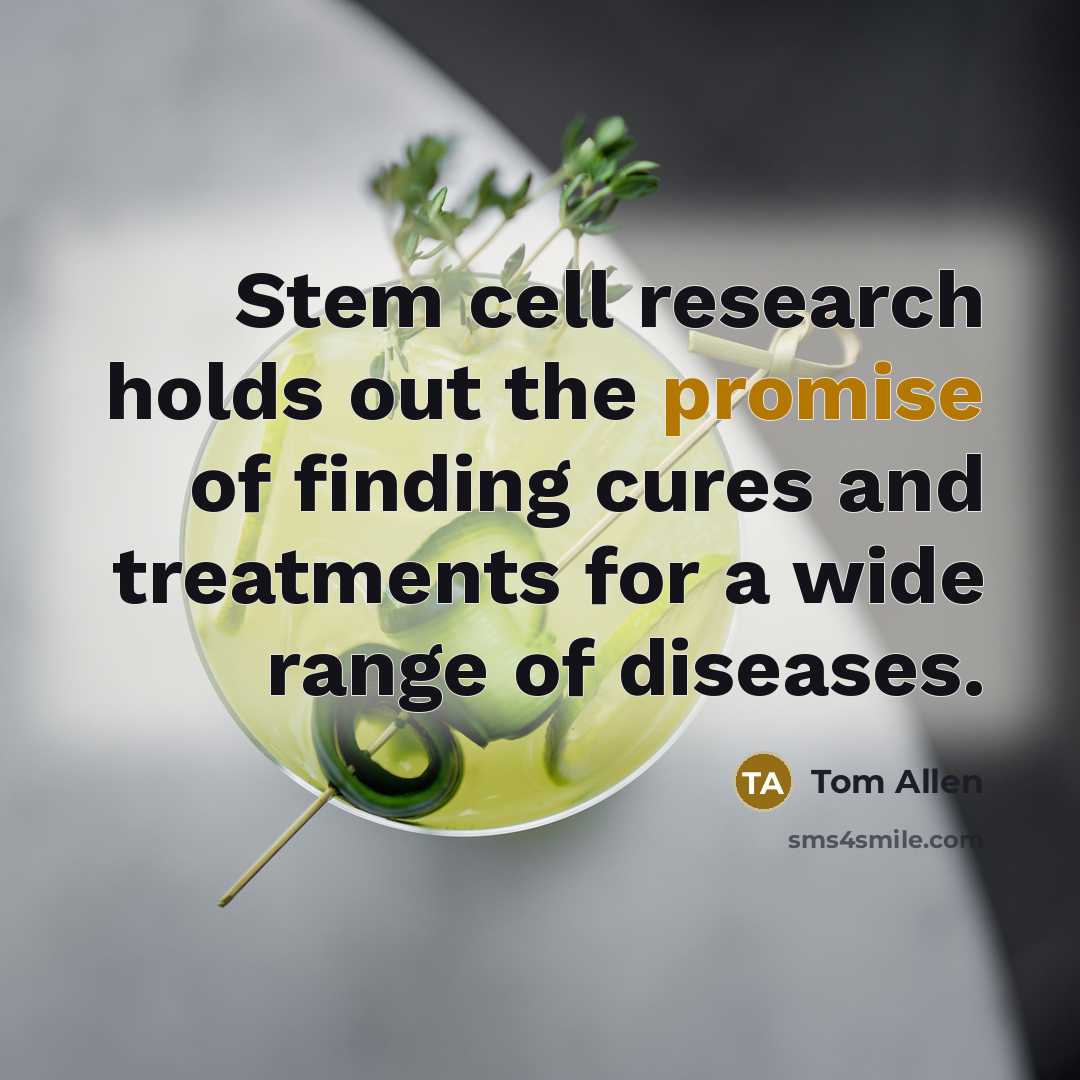 “Stem cell research holds out the promise of finding cures…” quote by Tom Allen