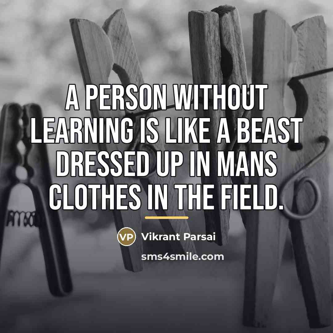“A person without learning is like a beast dressed up…” quote by Vikrant Parsai