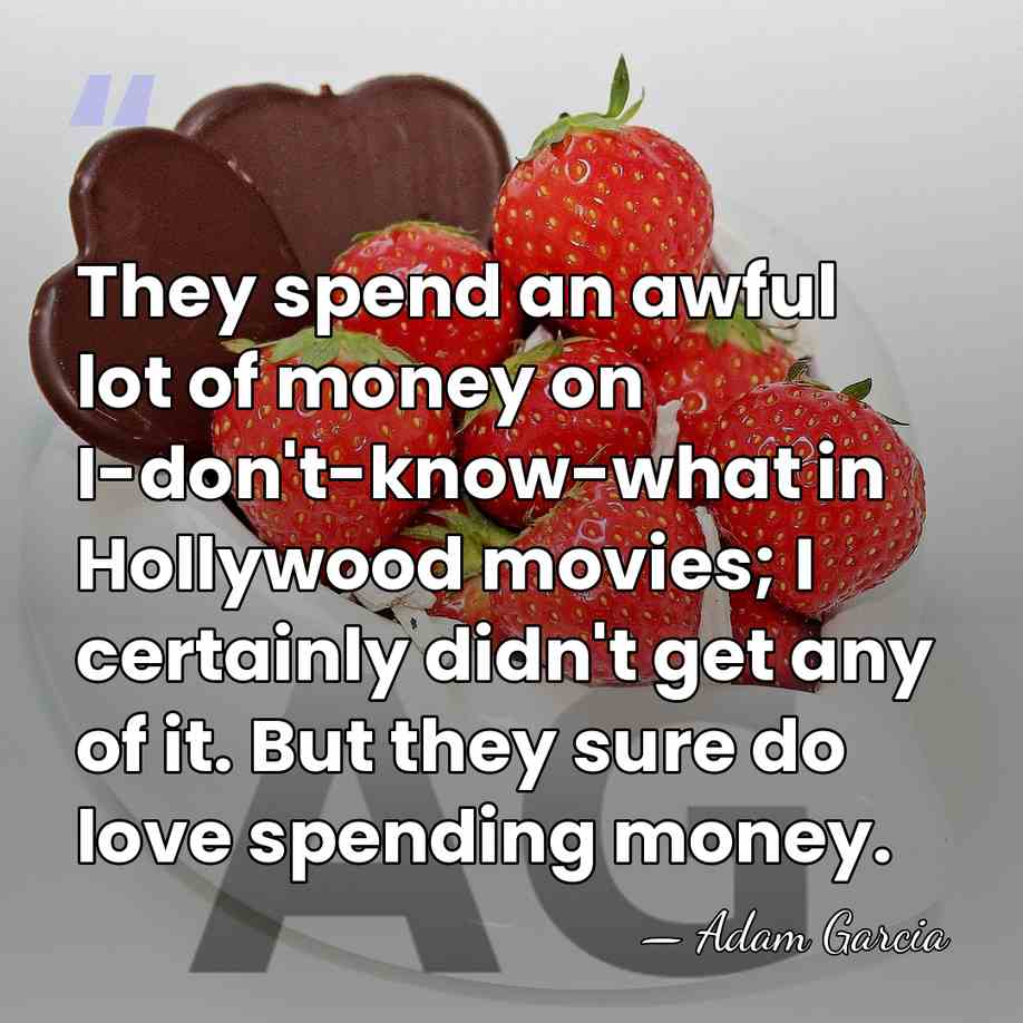 They spend an awful lot of money on I-don't-know-what in Hollywood movies;&hellip; - Adam Garcia