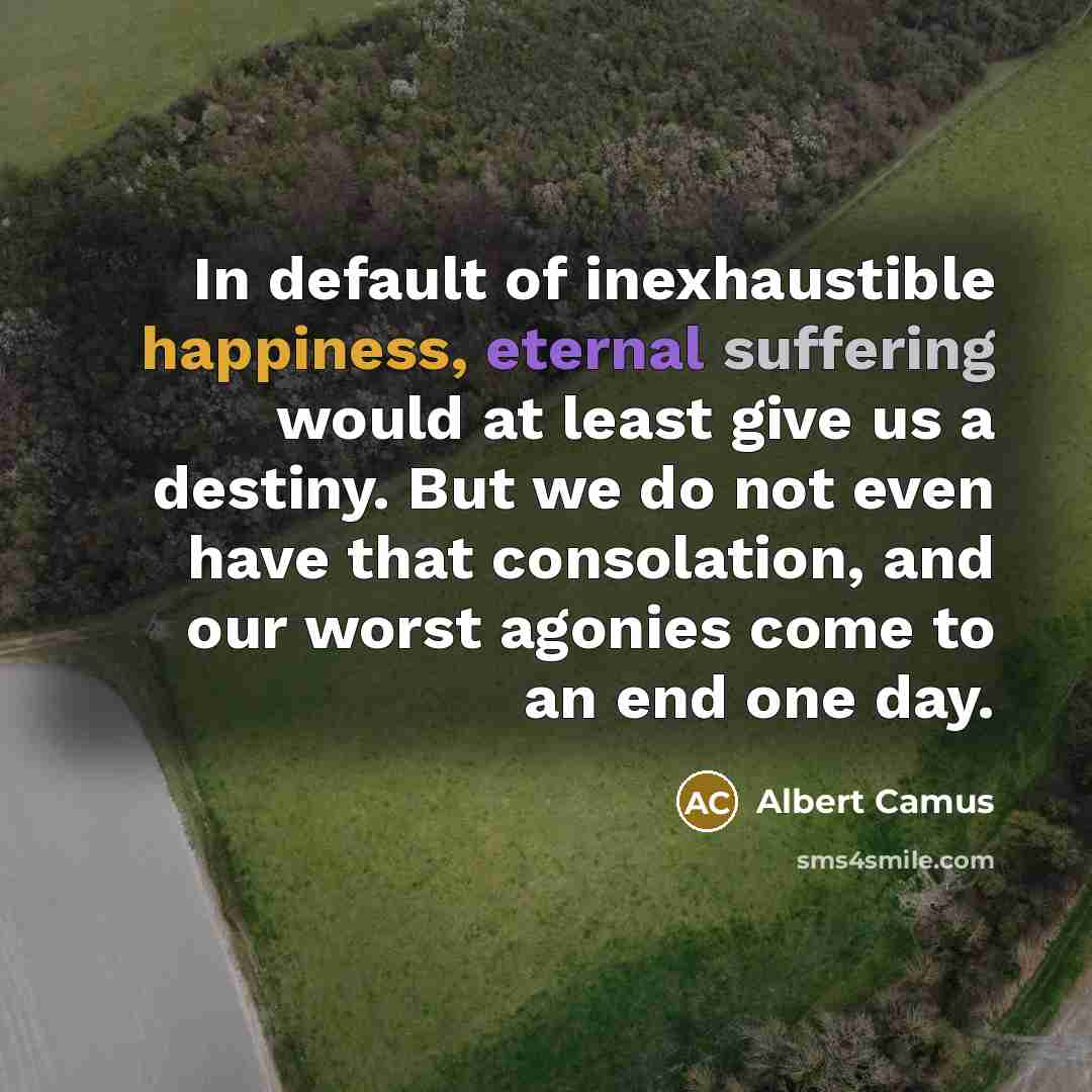 “In default of inexhaustible happiness, eternal suffering would at least…” quote by Albert Camus