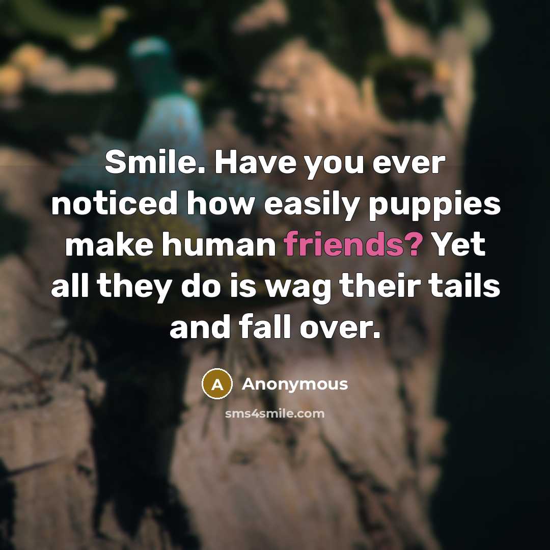 “Smile. Have you ever noticed how easily puppies make human friends? Yet all they do is wag their tails and fall over.” quote by Anonymous